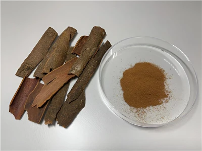 Eine neuartige Cinnamaldehyd -Nanomedizin zur Behandlung rheumatoider Arthritis